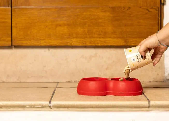 Cali - Casa In Centro Ad Assisi